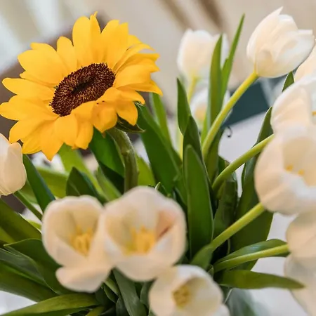 Apartment Gondolieri Terrace- Dimora Italia Collection - Venice